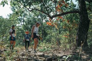 BIB: 
                            <button type="button" onclick="openModal(26114007)" class="btn btn-primary btn-sm float-right btn-popup" data-toggle="modal" data-target=".modal-high-quality">
                        <i class="fas fa-shopping-cart"></i> Add to Cart
                    </button>
                                            <button type="button" onclick="isThisMe(26114007, true)" class="btn btn-success btn-sm float-right btn-popup btn-isme hidden" data-toggle="tooltip" data-placement="bottom" title="นี่คือรูปของคุณใช่ไหม คลิกที่นี่เพื่อเอาเข้าอัลบั้ม">
                        <i class="fas fa-plus"></i> Add to album
                    </button>
                    <button type="button" onclick="isThisMe(26114007, false)" class="btn btn-warning btn-sm float-right btn-popup btn-isnotme hidden">
                        <i class="fas fa-ban"></i> Remove from album
                    </button>